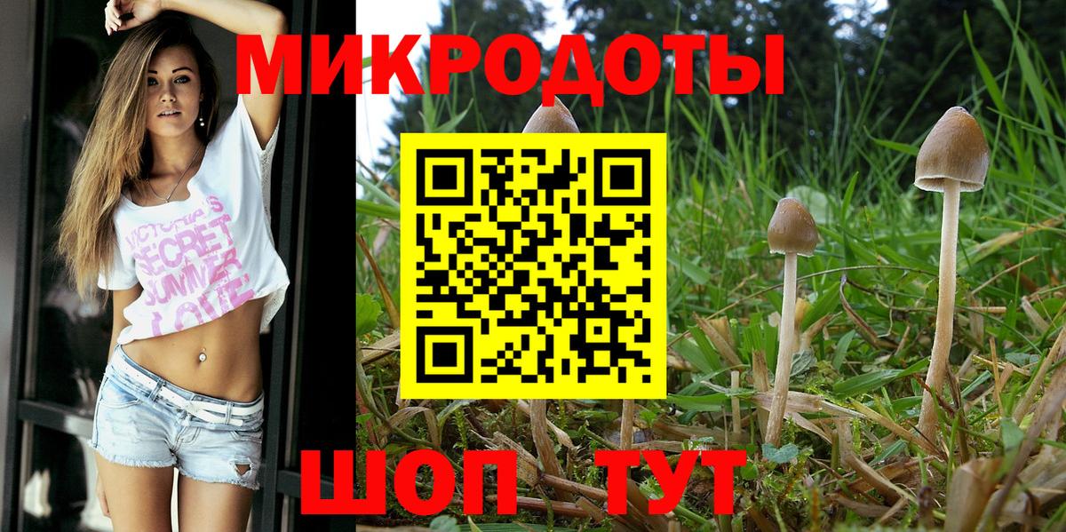 Галлюциногенные грибы мицелий  Вход с VPN  Владимир 